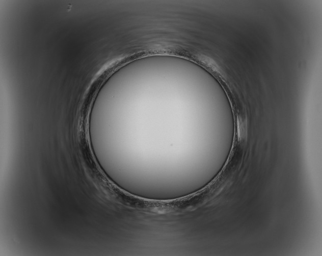 X0000086310579200704131633