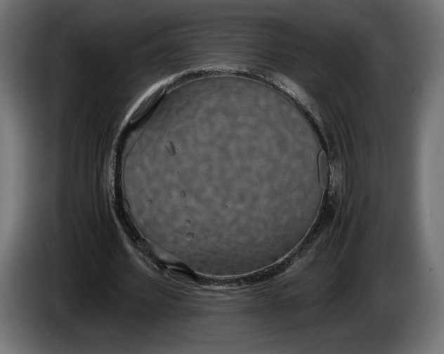 X0000086310580200704131633