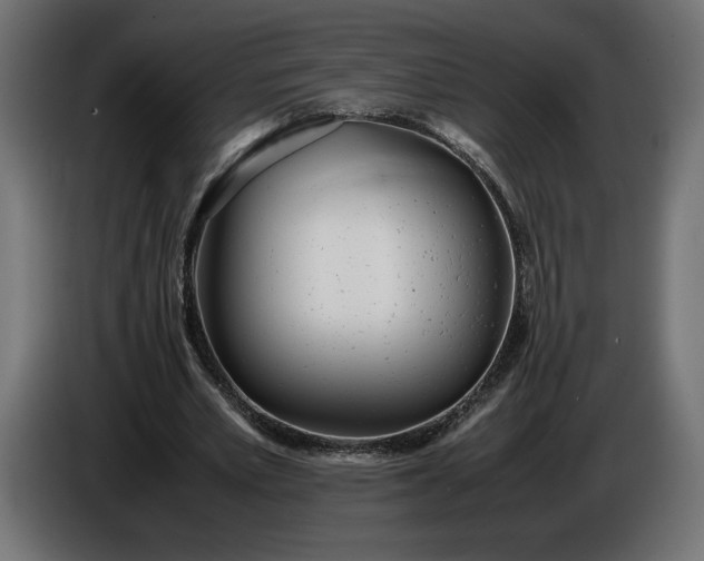 X0000086310581200704131633