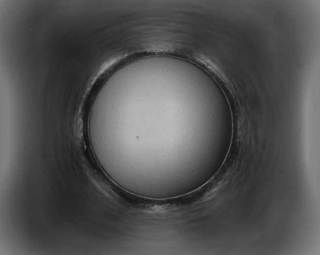 X0000086310584200704131633