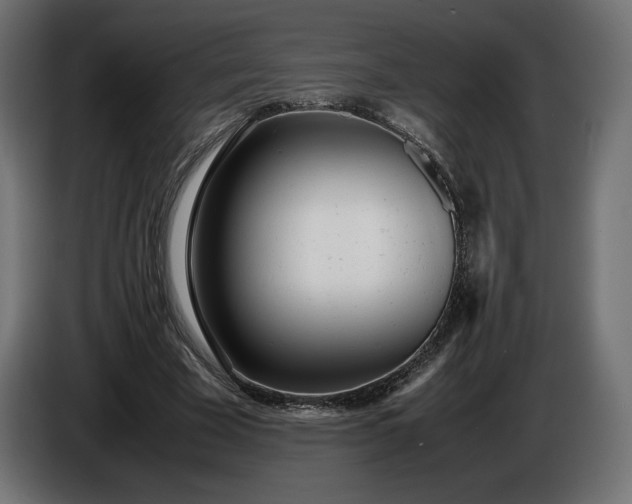 X0000086310585200704131633