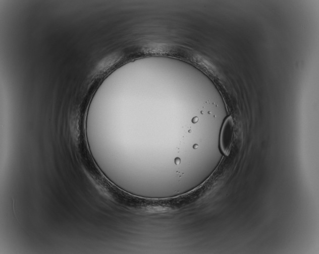 X0000086310586200704131633