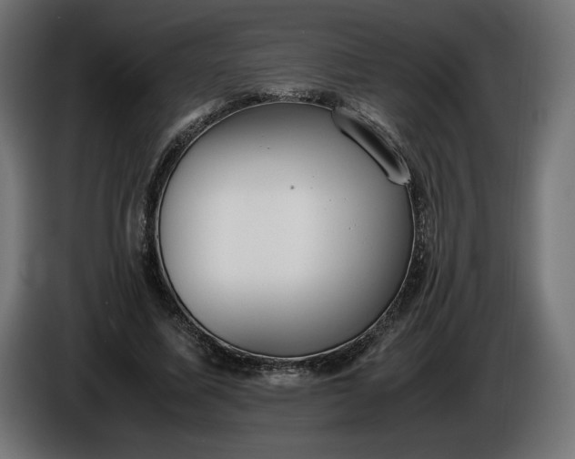 X0000086310587200704131633