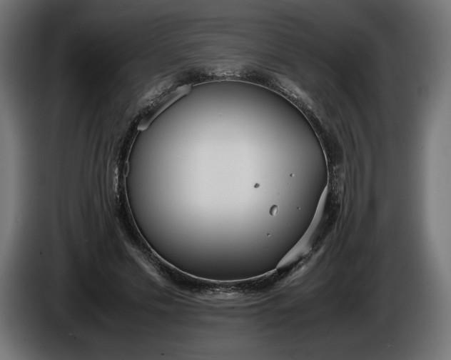 X0000086310589200704131633