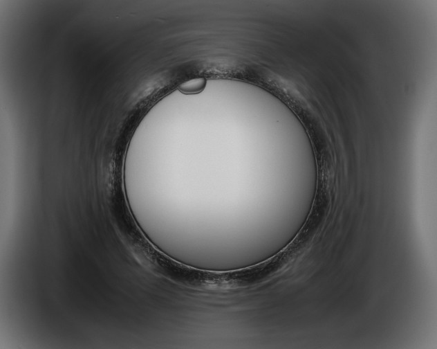 X0000086310591200704131633