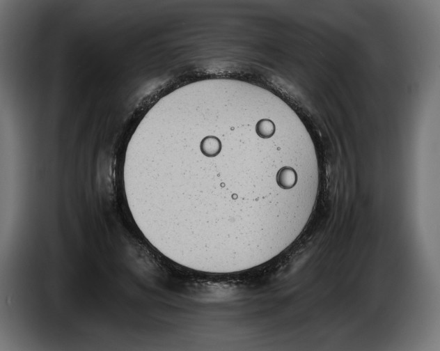 X0000086310592200704131633