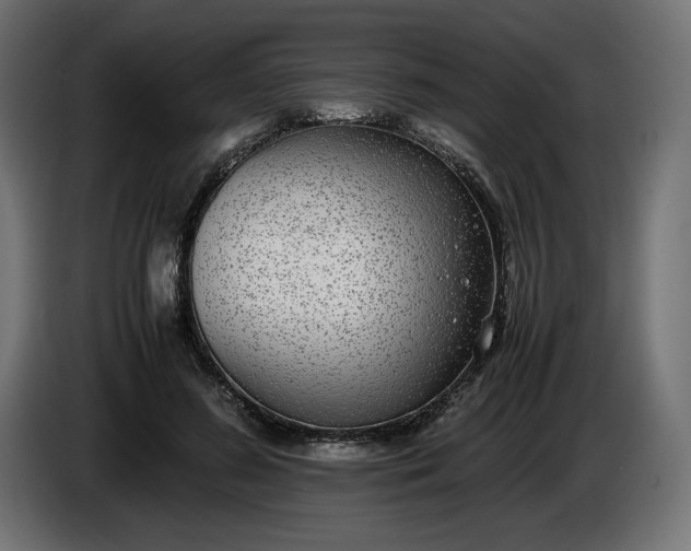 X0000086310596200704131633