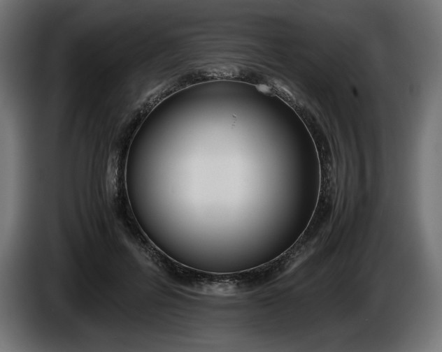 X0000086310600200704131633