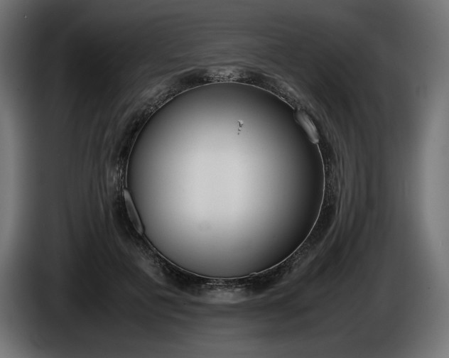 X0000086310601200704131633