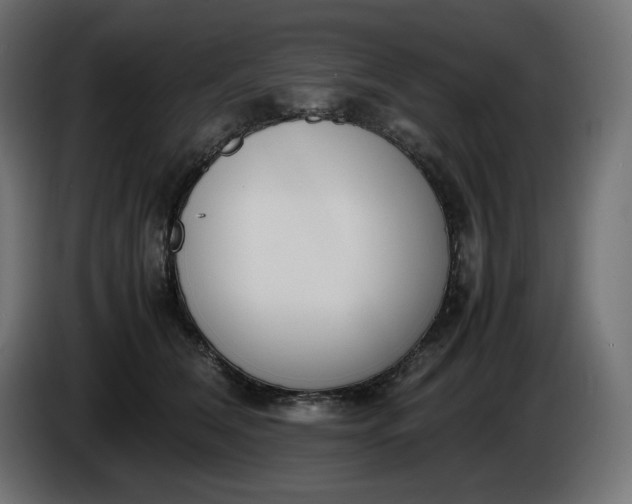 X0000086310612200704131633