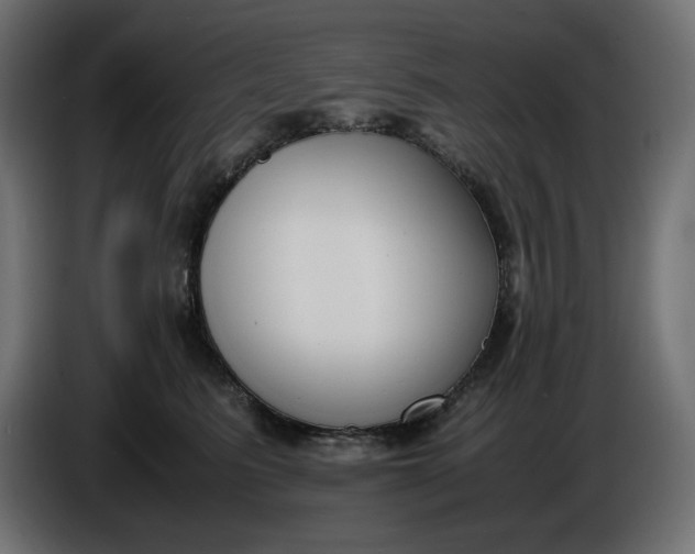 X0000086310615200704131633