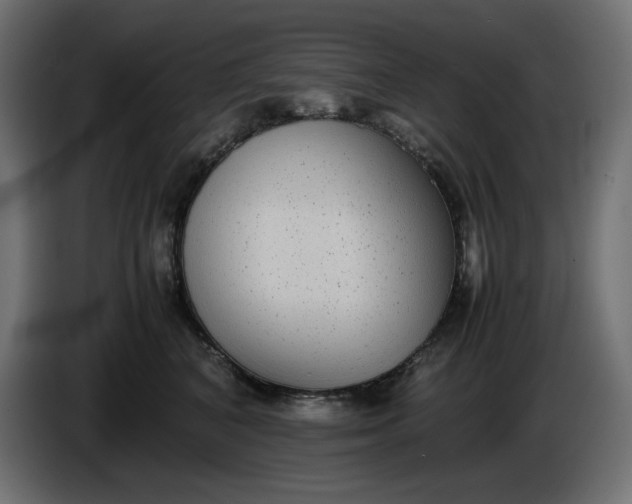 X0000086310616200704131633