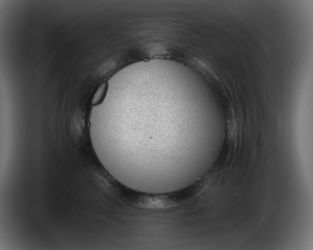X0000086310618200704131633