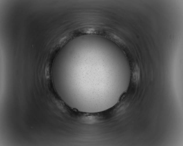 X0000086310620200704131633