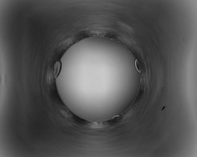 X0000086310623200704131633