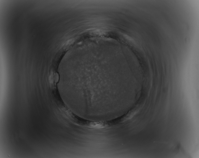 X0000086310624200704131633