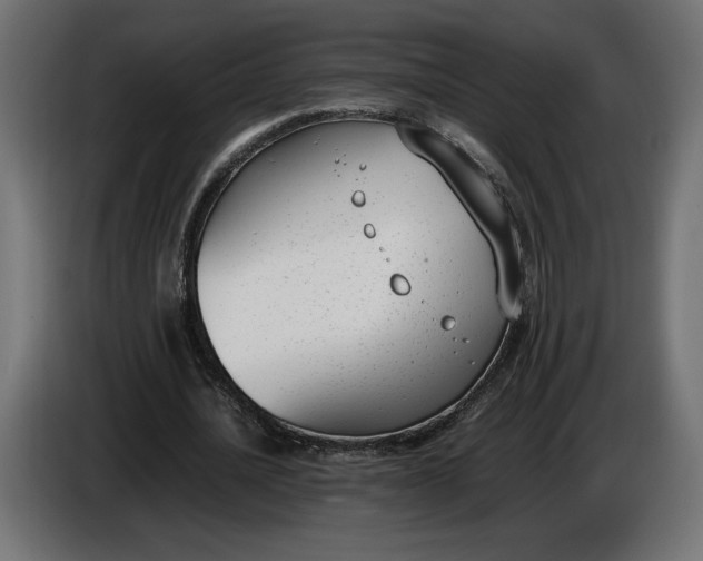 X0000086310628200704131632