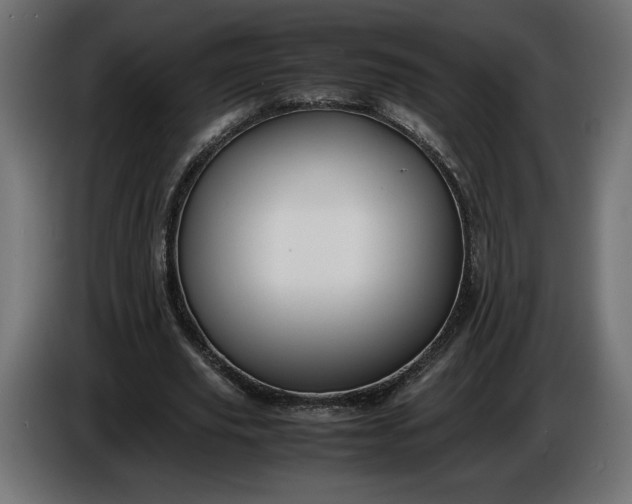 X0000086310629200704131632