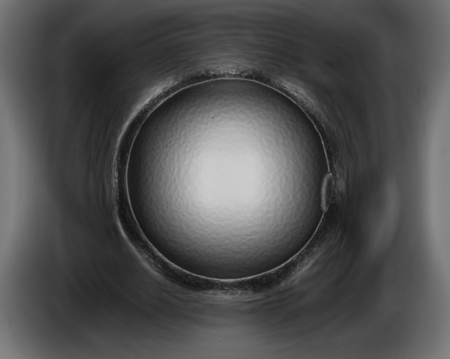X0000086310630200704131632