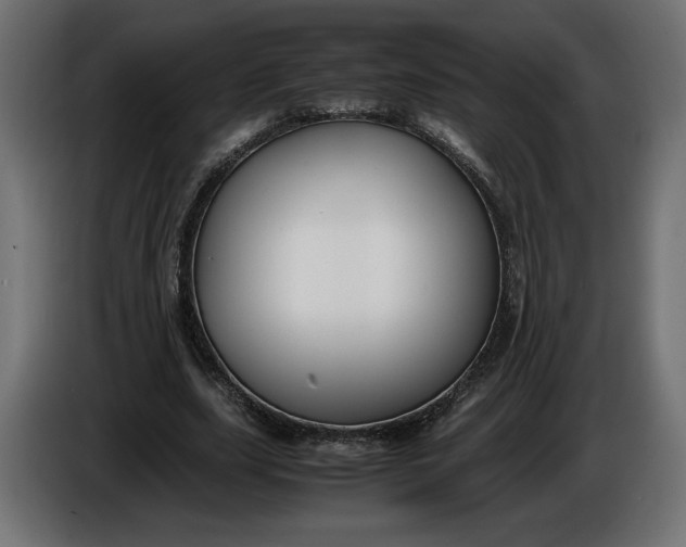 X0000086310631200704131632
