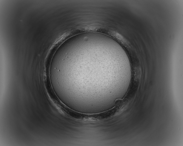 X0000086310634200704131632