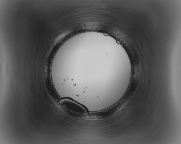 X0000086310636200704131632