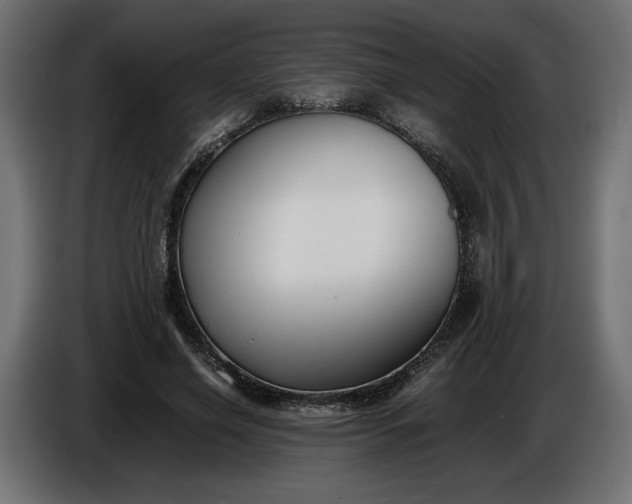 X0000086310638200704131632