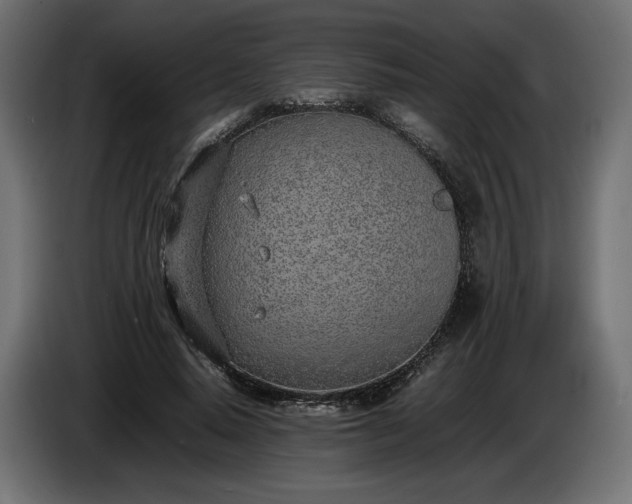 X0000086310640200704131632