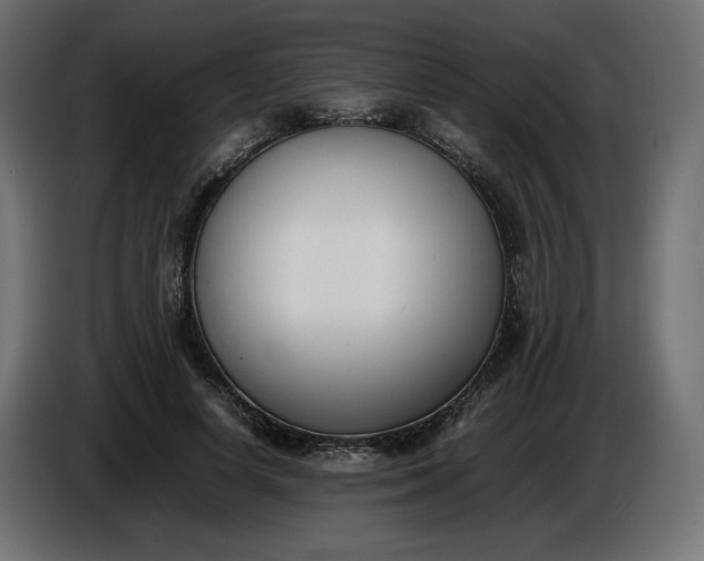 X0000086310642200704131632