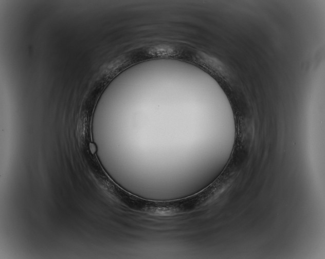 X0000086310645200704131632
