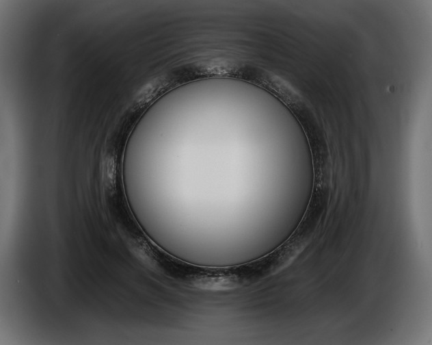 X0000086310646200704131632