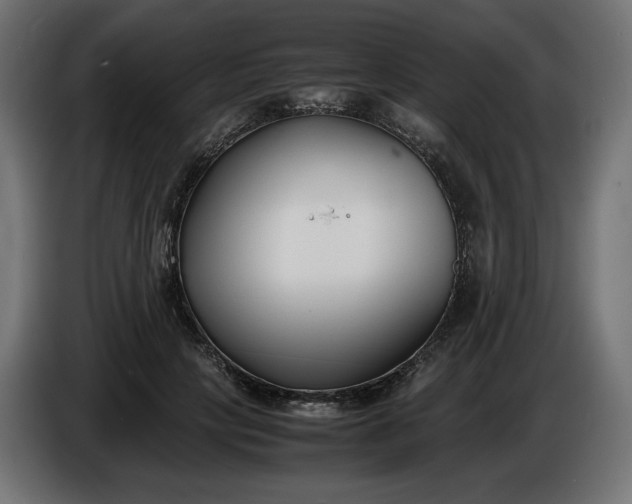 X0000086310649200704131632