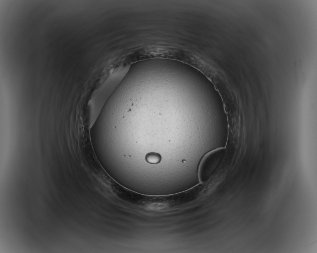 X0000086310653200704131632