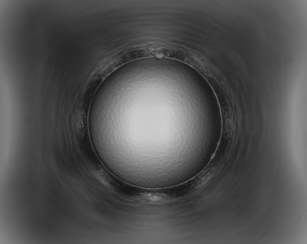 X0000086310654200704131632