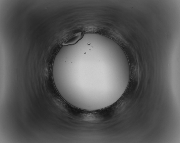 X0000086310655200704131632