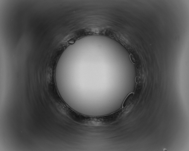 X0000086310656200704131632