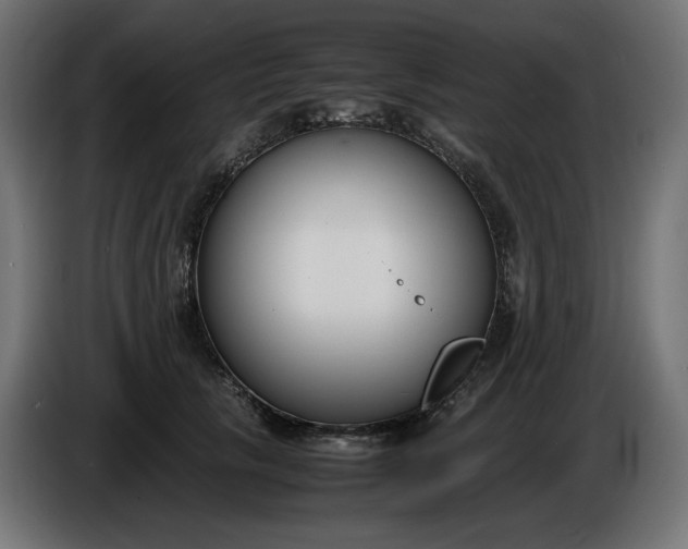 X0000086310657200704131632
