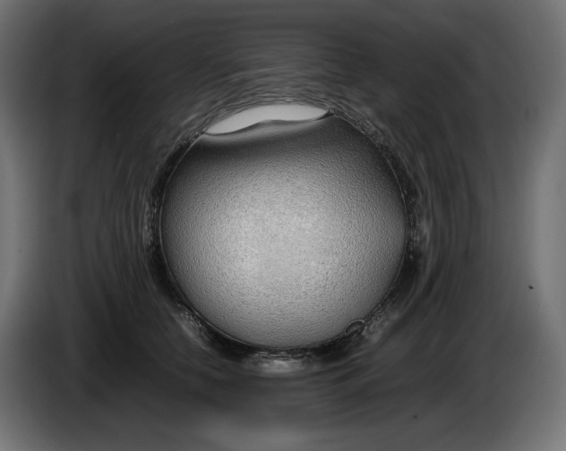 X0000086310658200704131632