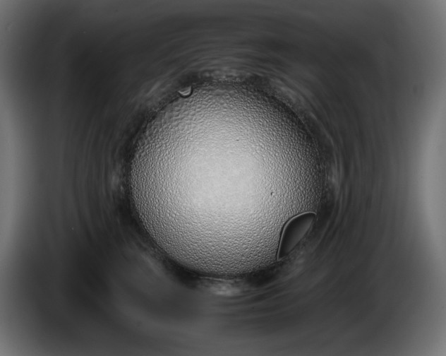 X0000086310663200704131632