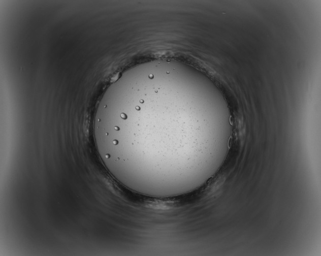 X0000086310664200704131633