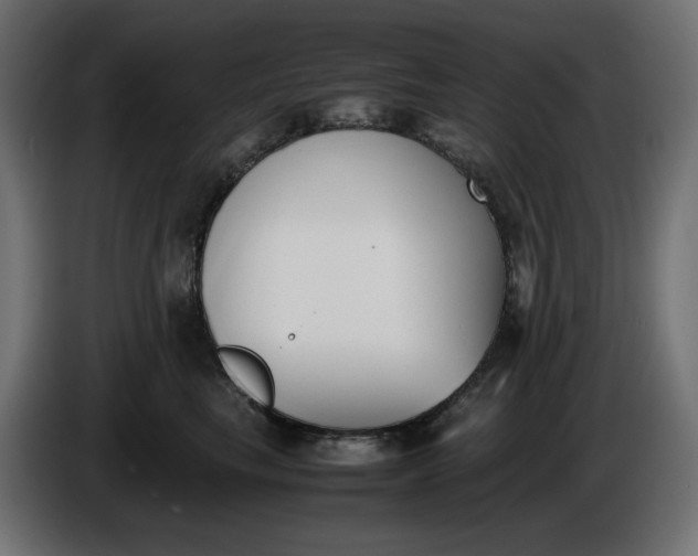 X0000086310665200704131633