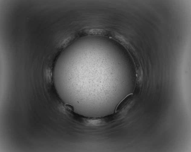 X0000086310669200704131633