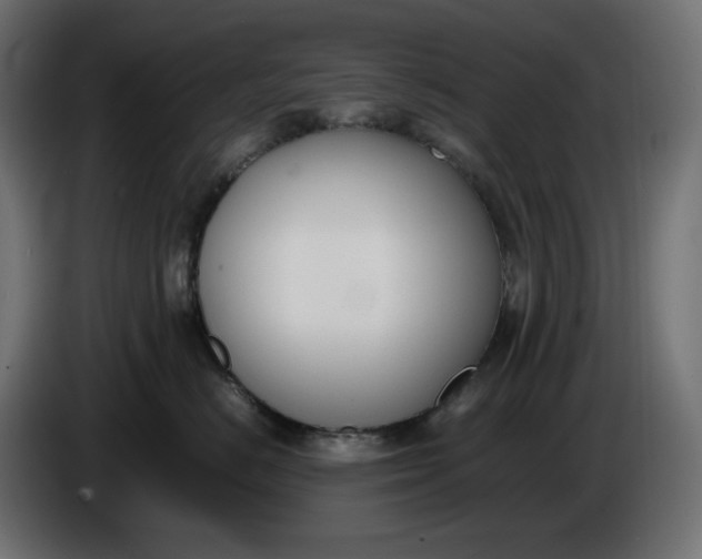 X0000086310670200704131633