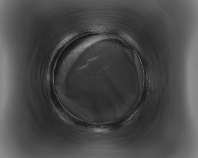 X0000086310674200704131632