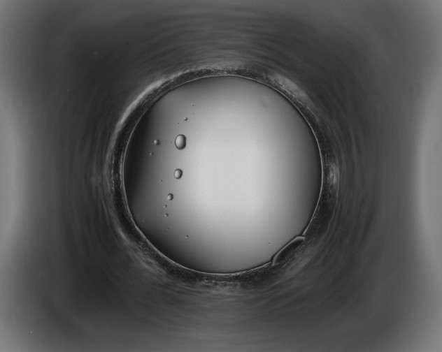 X0000086310676200704131632