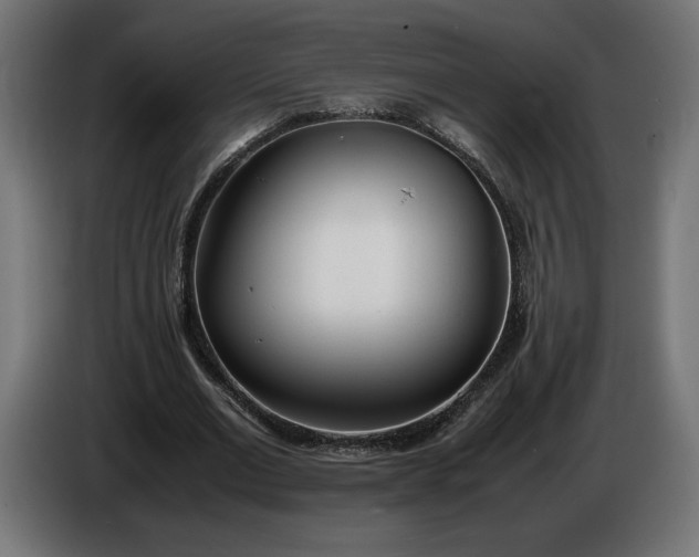 X0000086310677200704131632