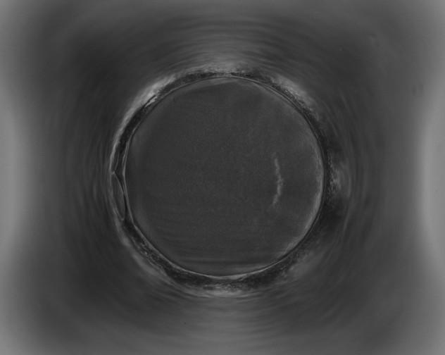 X0000086310678200704131632