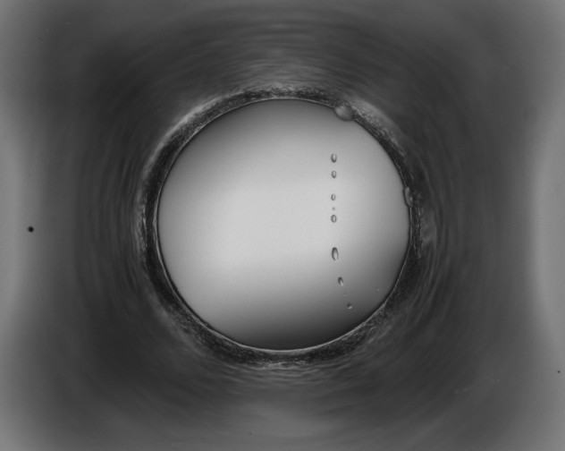 X0000086310680200704131632