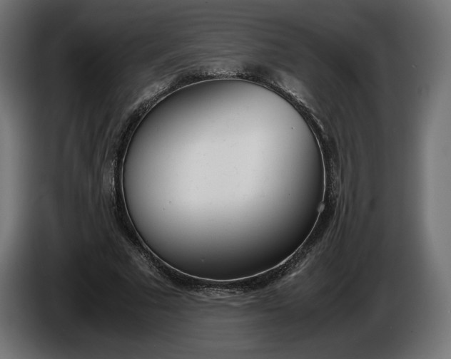 X0000086310681200704131632