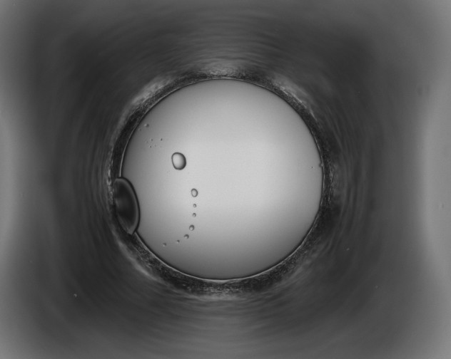 X0000086310682200704131632